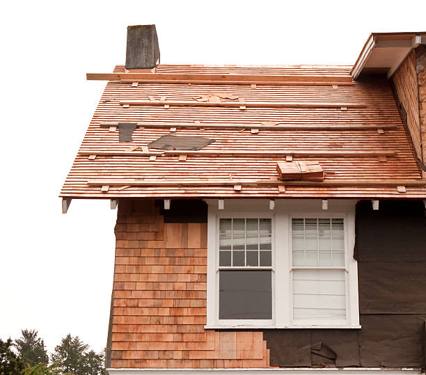 Best Custom Trim and Detailing for Siding  in Sleepy Hollow, IL